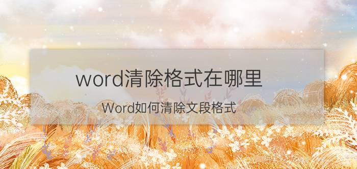 word清除格式在哪里 Word如何清除文段格式？